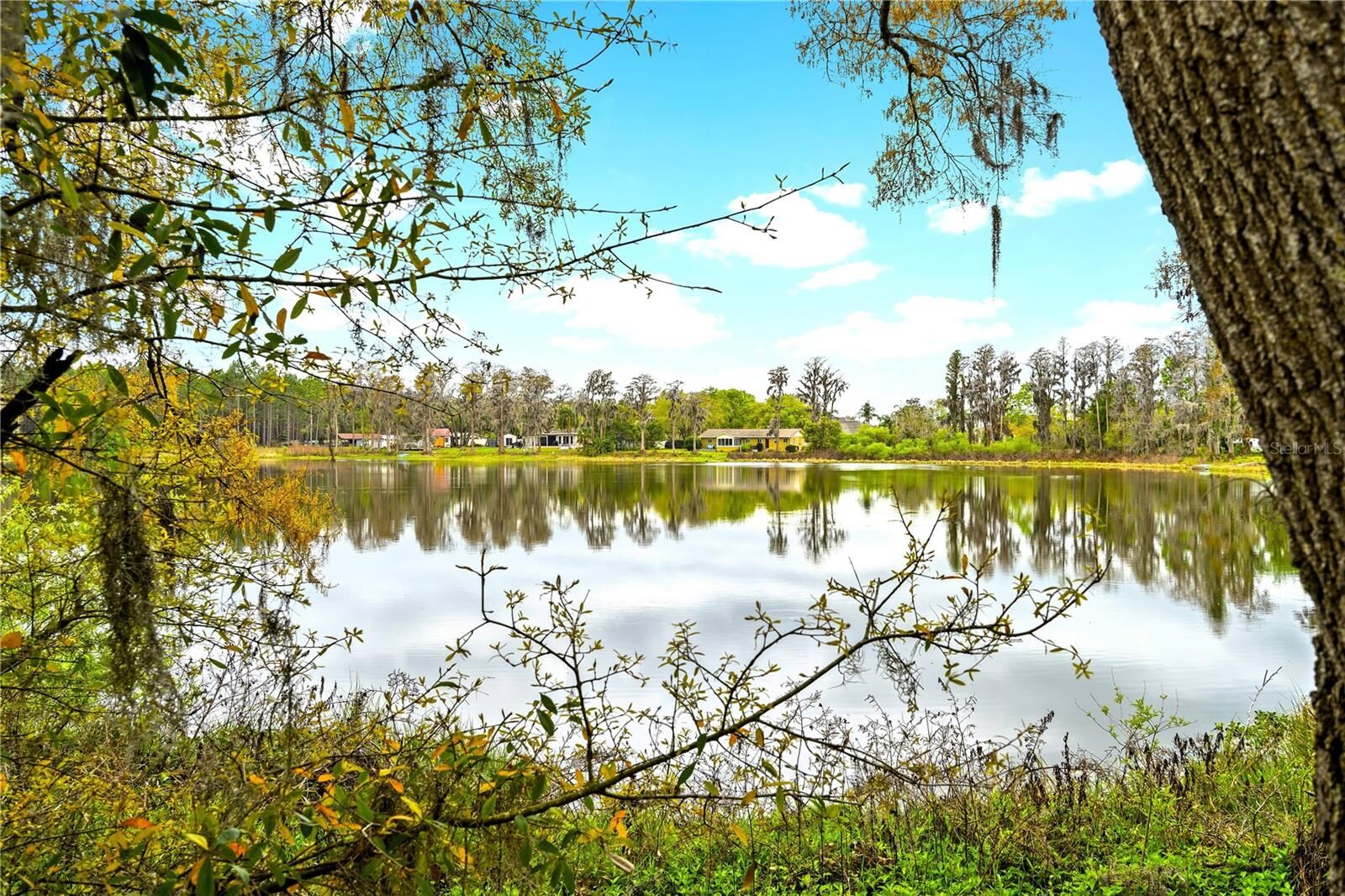 Property Photo: 18150 Burrell Road FL 33556