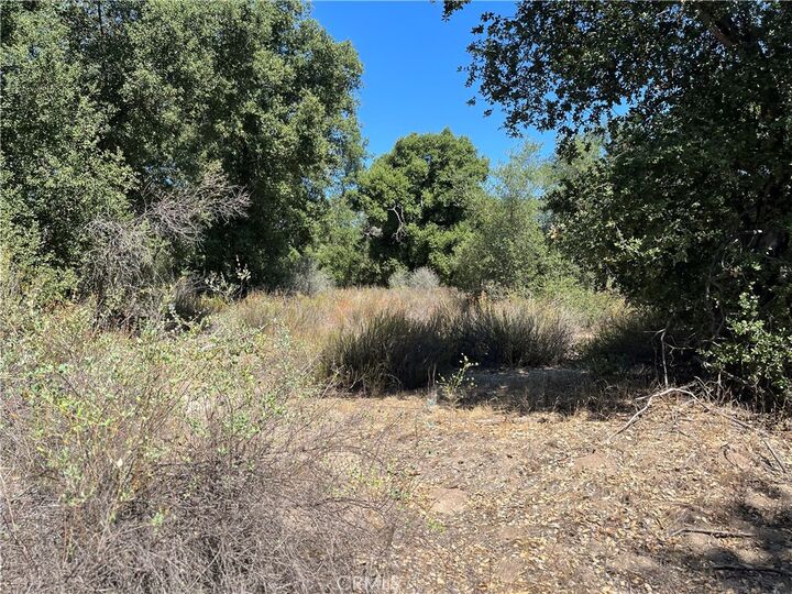 Property Photo:  35010 Willow Creek Rd.  CA 92544 
