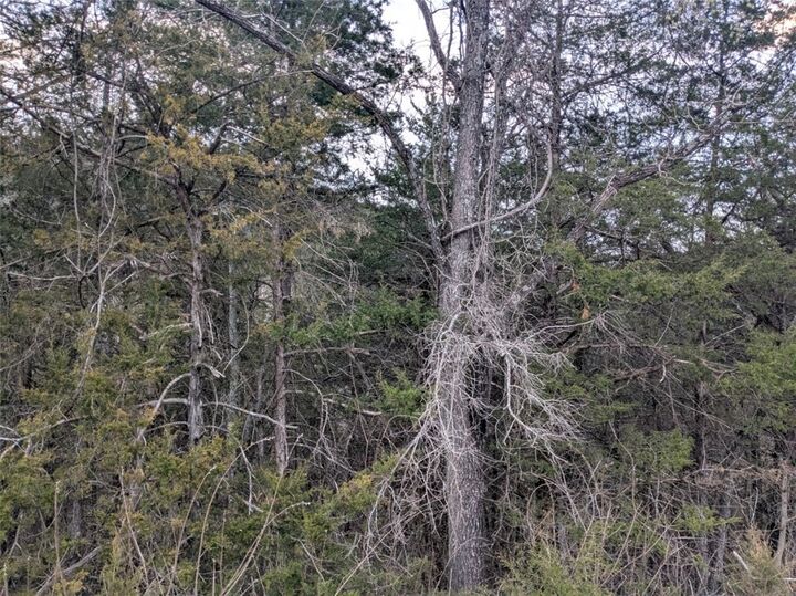 Property Photo: Tbd Wild Turkey Drive AR 72631