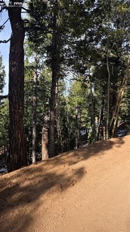 Property Photo:  307 Tillicum Trail  CO 80863 