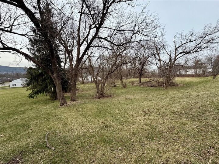 Property Photo:  00-1 Winfield Street  NY 14830 