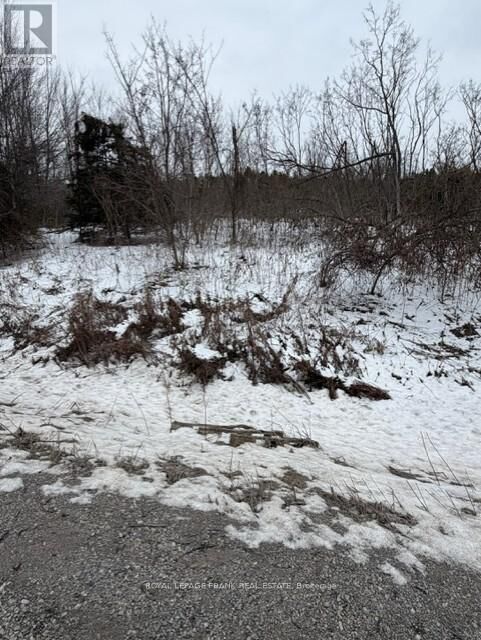Property Photo:  Lot 3 Lakefield Road  ON K9J 6X5 