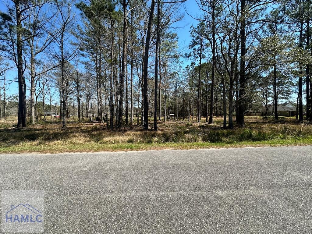 Property Photo:  102 Trail South  GA 31320 
