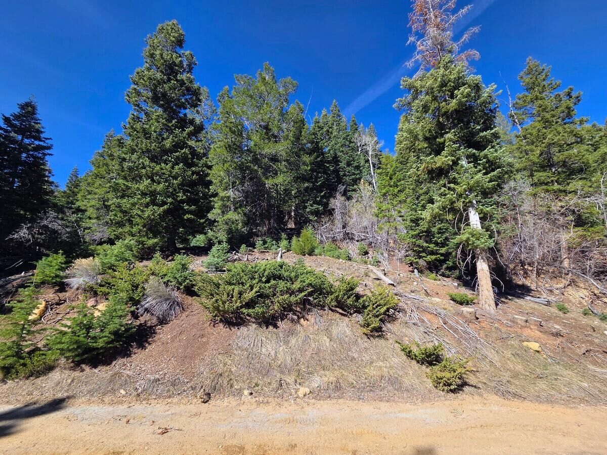 Property Photo:  Lot 42 Bonnie Green Dr  UT 84762 