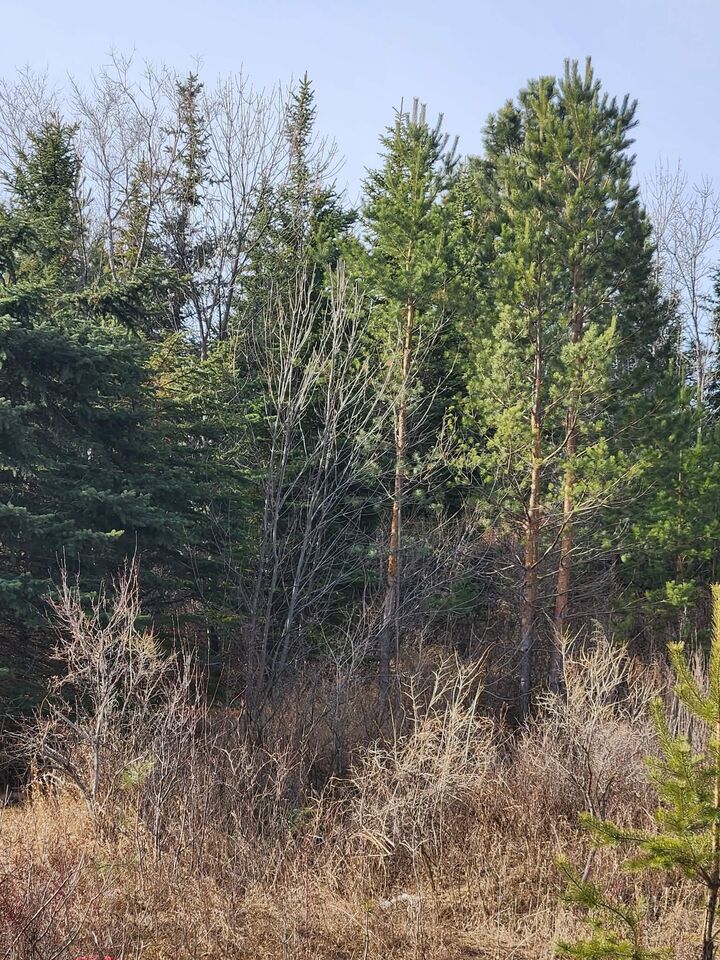 Property Photo: 00 County Road 19 SE ND 58701