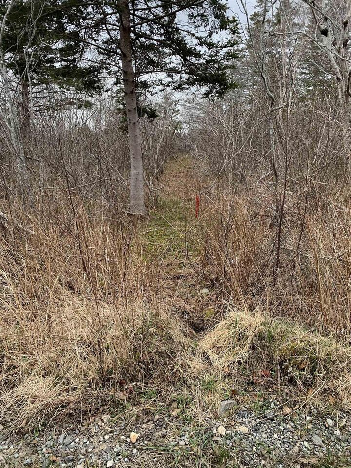 Property Photo: Lots Hardwood Hills Road NS B0W 1B0