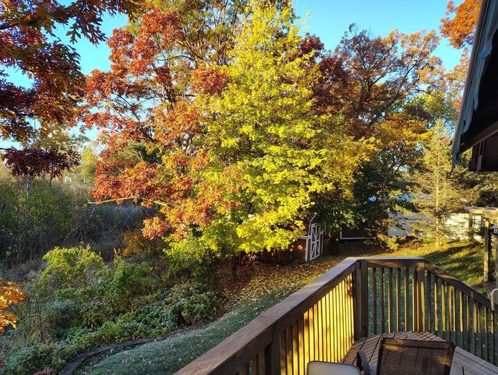 Property Photo:  970 Sherwood Road  MN 55126 