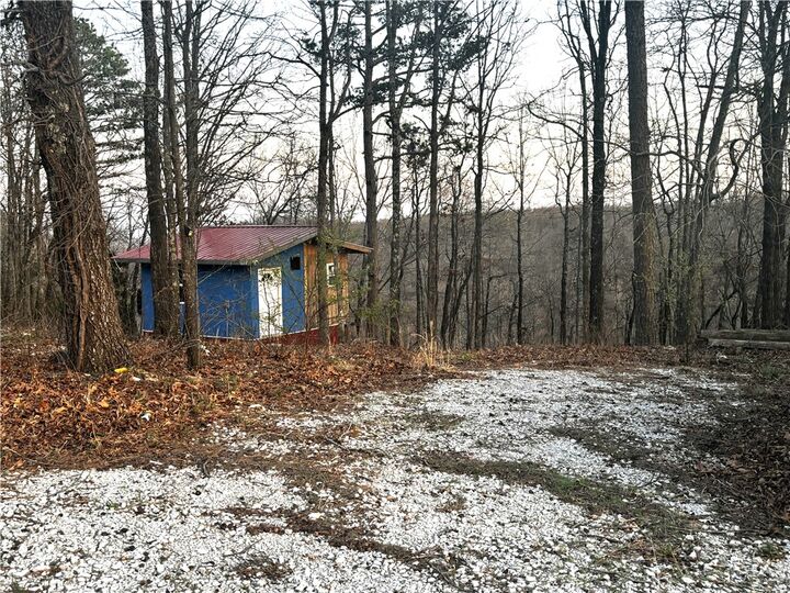 Property Photo:  19238 Highway 65  AR 72675 