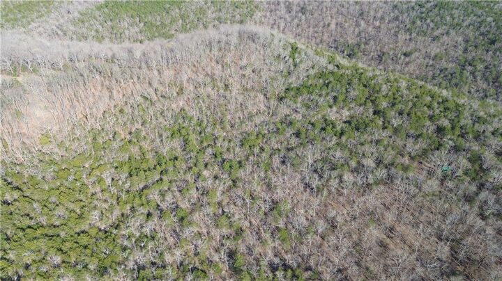 Property Photo:  Nc 3421  AR 72648 