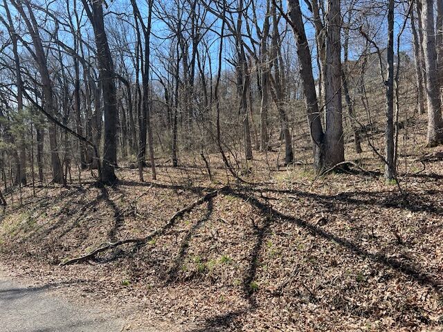 Property Photo: 64 Thunderbird Drive AR 72631