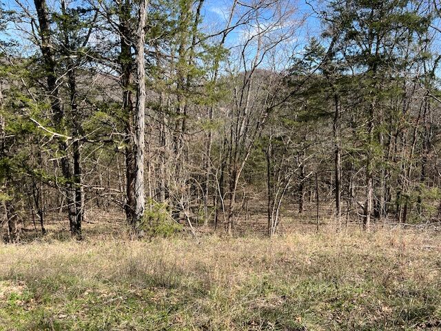 Property Photo:  14 Thunderbird Lane  AR 72631 