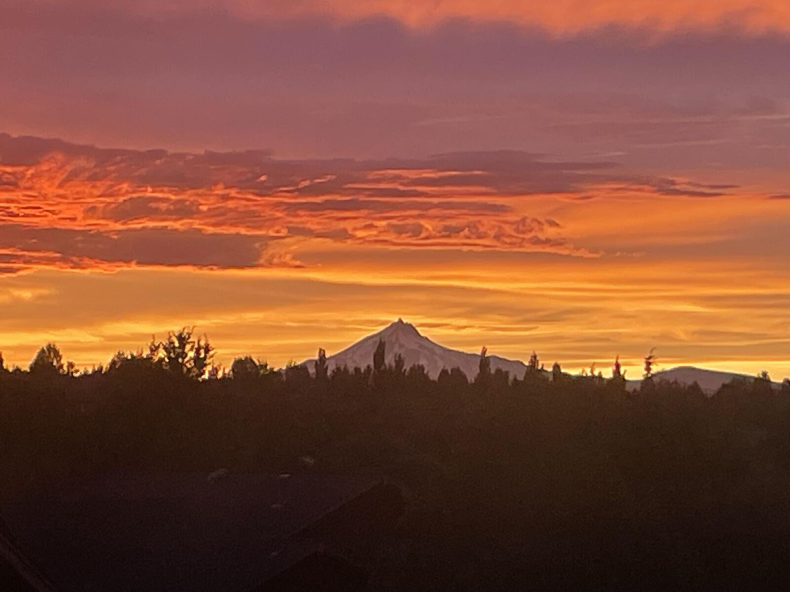 Property Photo:  10504 Bitterbrush Court  OR 97756 