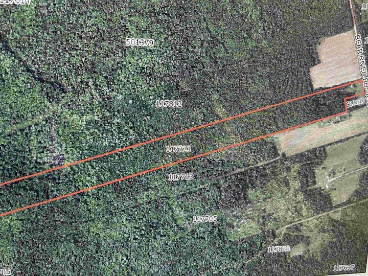 Photo de la propriété:  1645 Bear River Road  PE C0A 2B0 