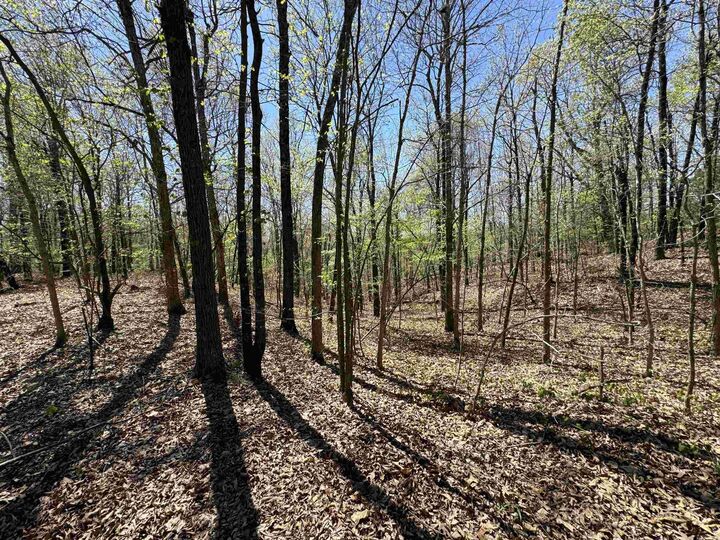 Property Photo:  0 Clay Rd 431  AR 72456 