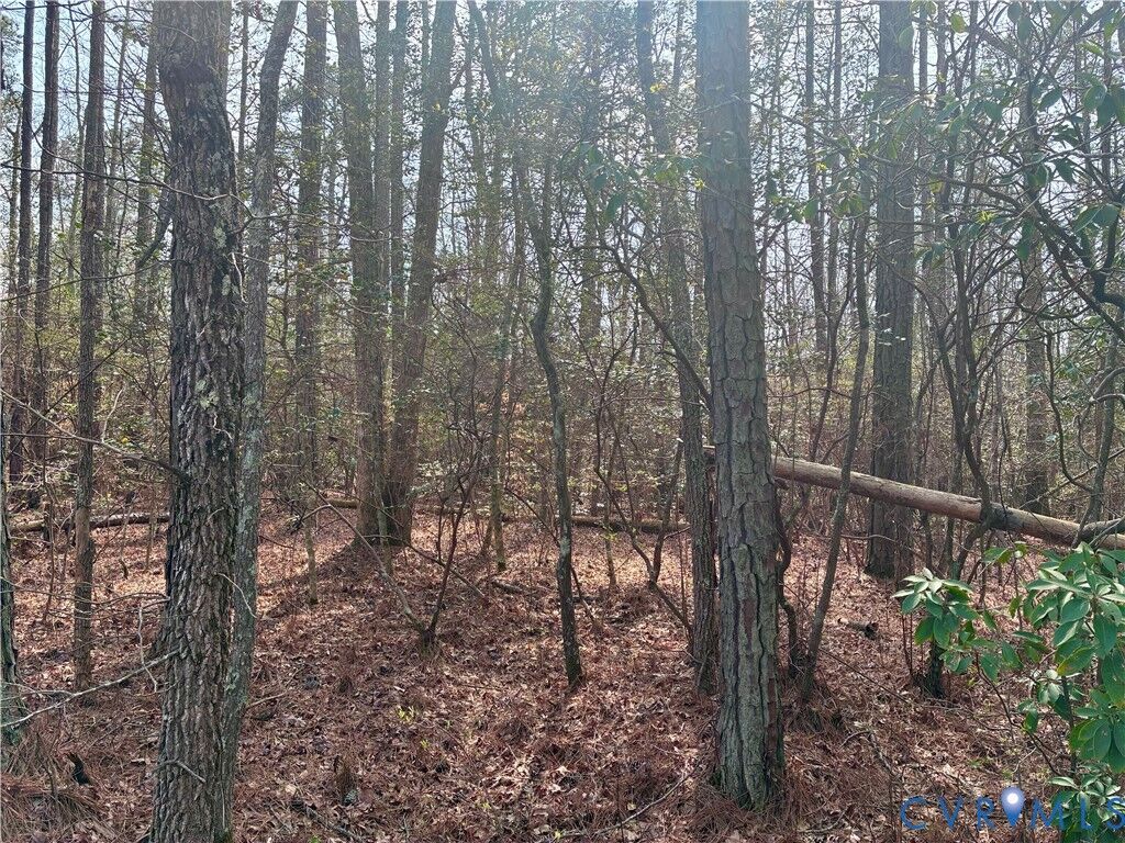 Property Photo:  15000 Bradley Bridge Road  VA 23838 