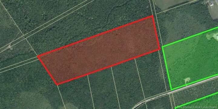 Property Photo: Vacant Lot Rte 465 Beersville NB E4T 2N8