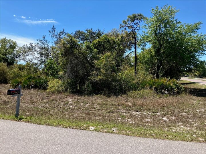 Property Photo:  273 Omen Street  FL 33982 