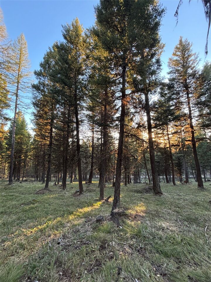 Property Photo: 139 Montana View Drive MT 59868