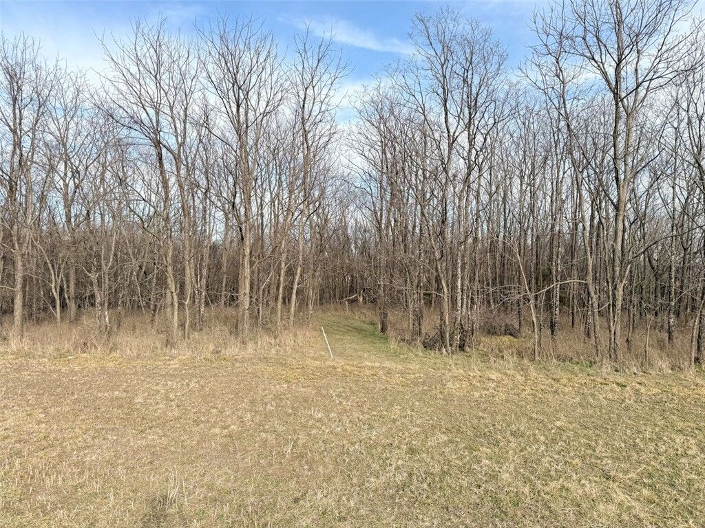 Property Photo:  Lot 15 Chalybeate Drive  AR 72768 