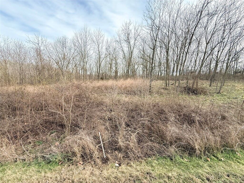 Property Photo:  Lot 7 Log Cabin Drive  AR 72768 