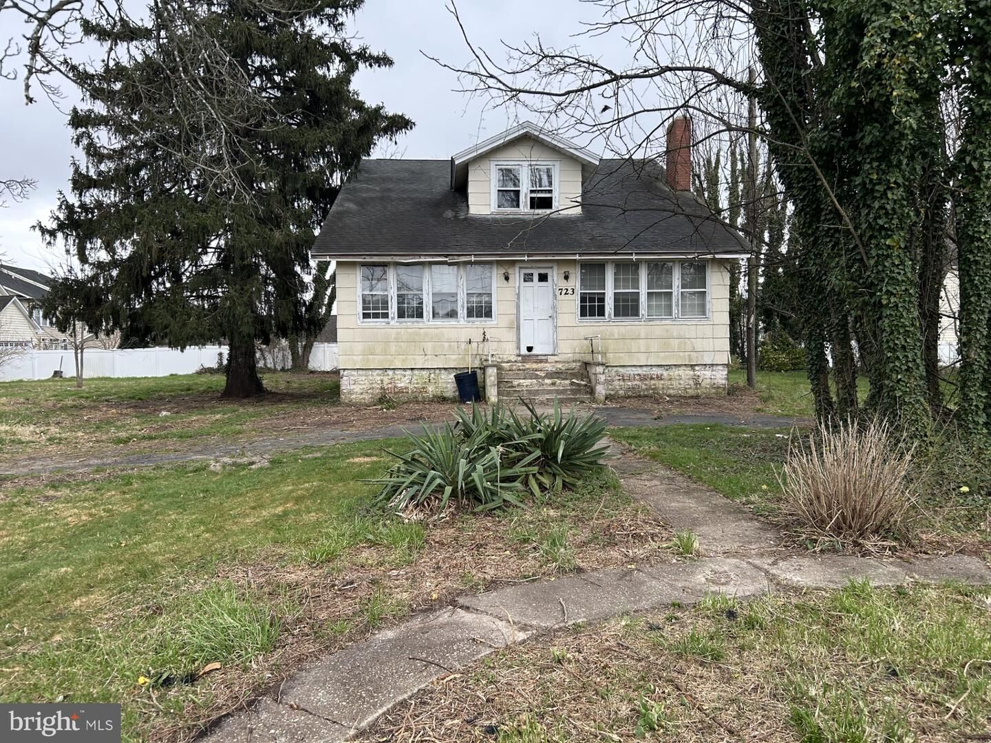 Property Photo: 723 Chestnut Street DE 19968