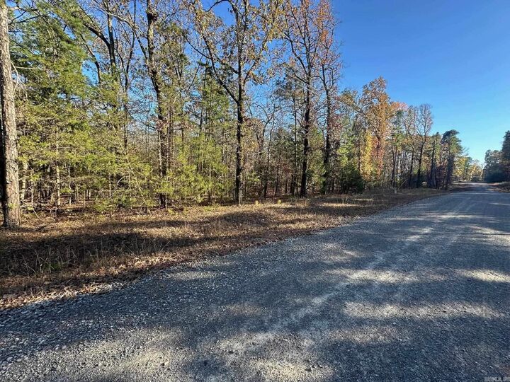 Property Photo:  65 Jimmerson Road  AR 72067 