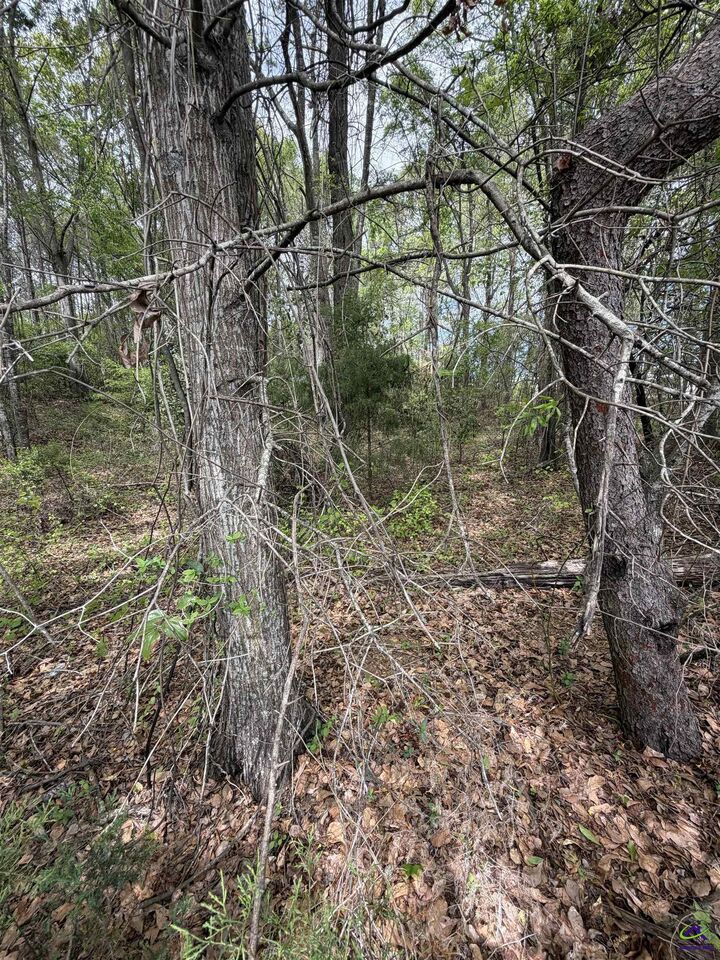 Property Photo:  Old Perry Road  GA 31005 