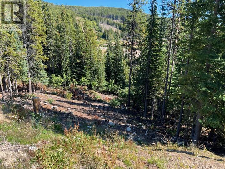 Property Photo:  Lot 122 Wapiti Creek Road  BC V0H 1T8 