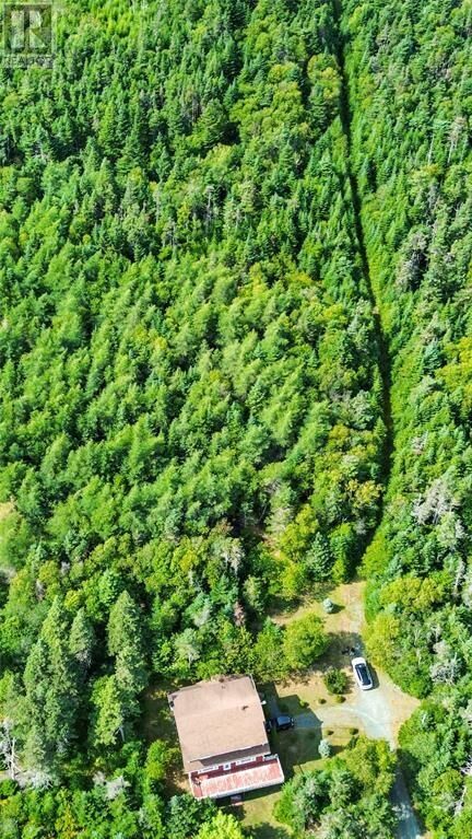 Property Photo:  582-594 Indian Meal Line  NL A1K 1G5 