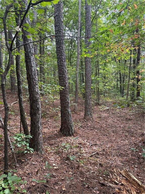 Property Photo:  3826 Salacoa-Tract C  GA 30183 