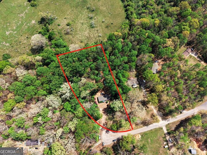 Property Photo: 90 Birch Court GA 30549