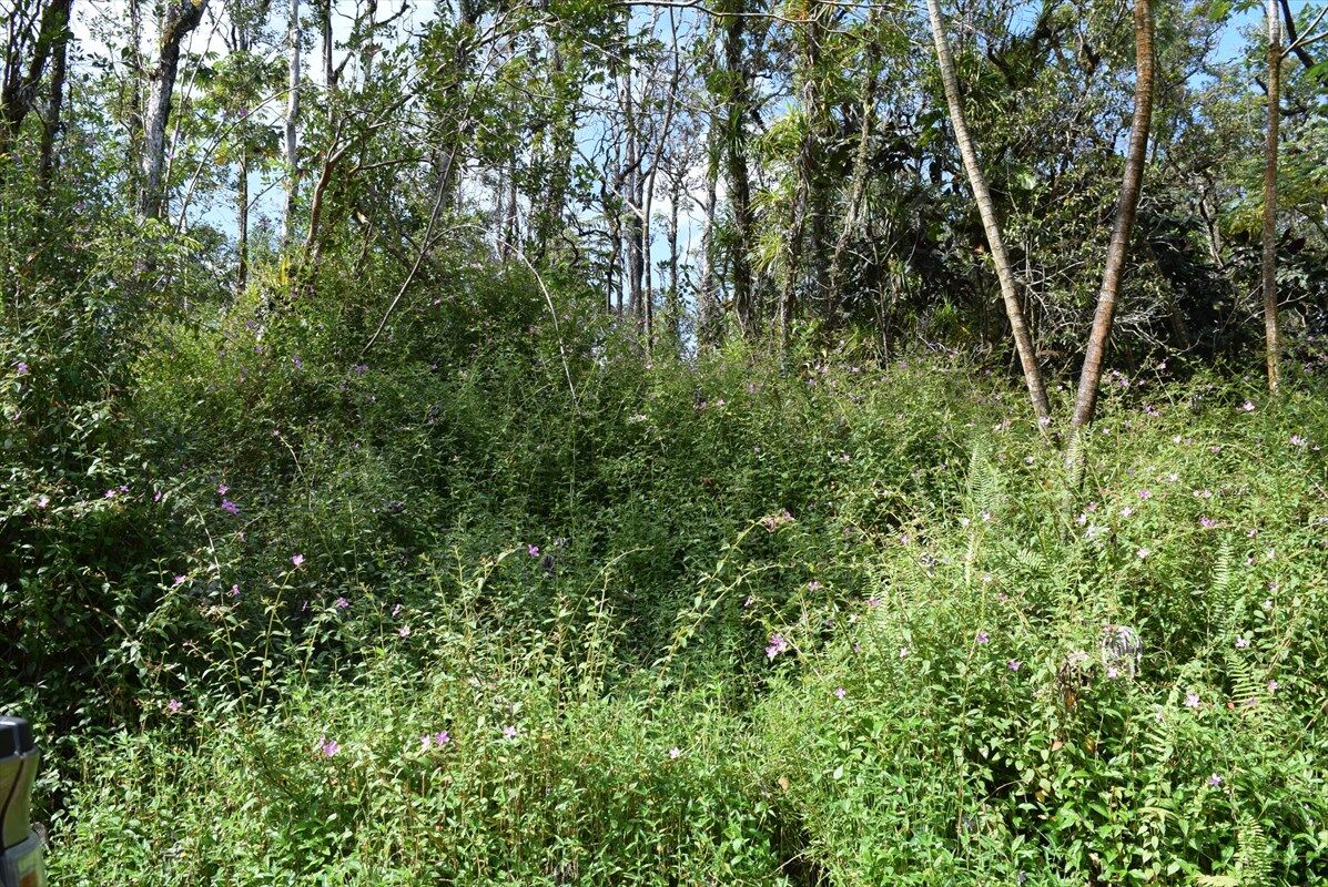 Property Photo:  14-3539 Kauai Rd  HI 96778 