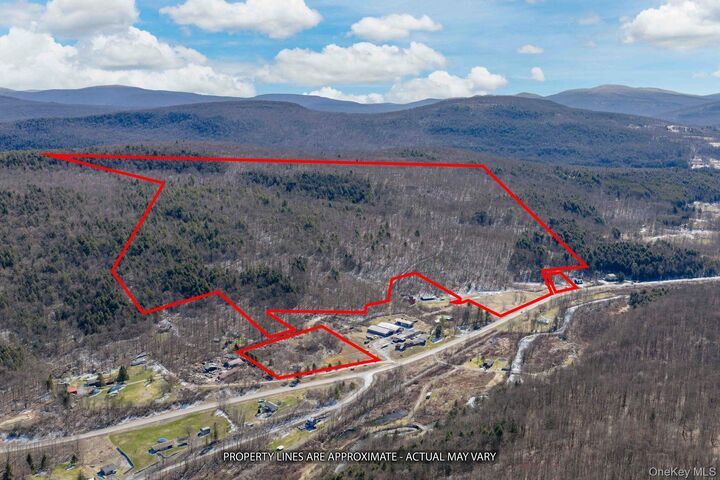 Property Photo:  191 Mill Road  NY 12455 