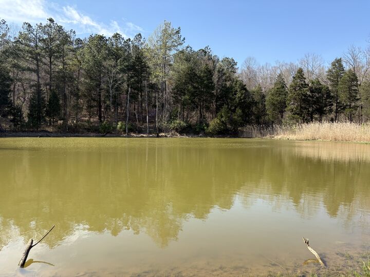 Property Photo:  1000 State Route 831  KY 42345 