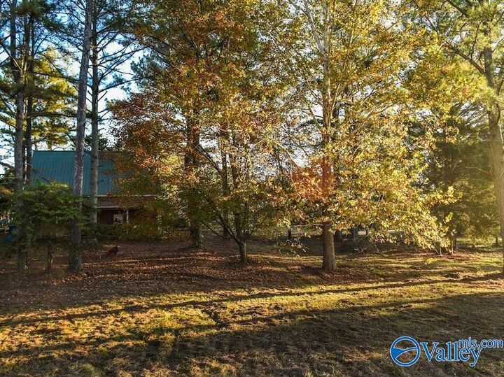 Property Photo:  157 Edmonds Drive N  AL 35747 