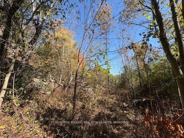 Property Photo: 254 Briar Hill Road ON K0E 1N0