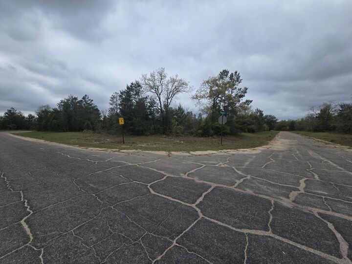 Property Photo:  Tbd Otis Lane  FL 32428 