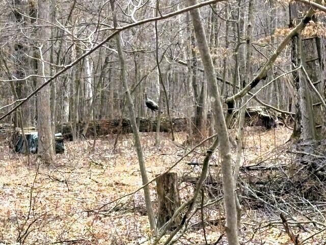 Property Photo: W Prairie Road MI 48640