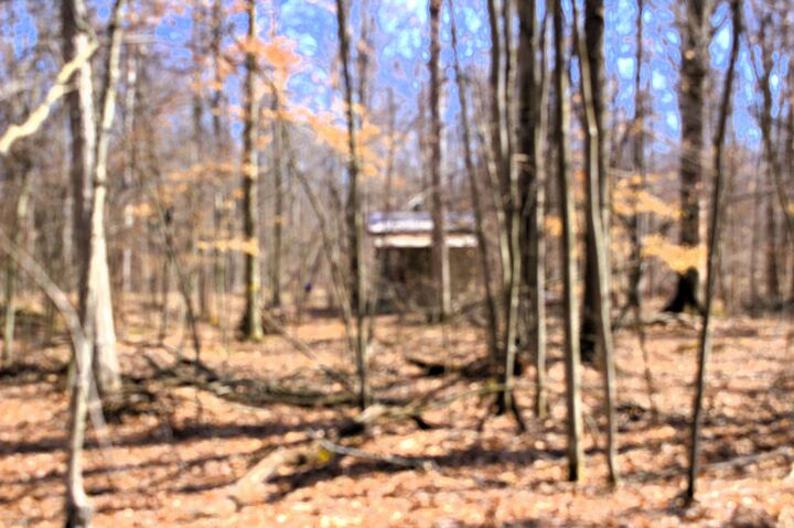 Property Photo:  V/L W Prairie Road  MI 48640 
