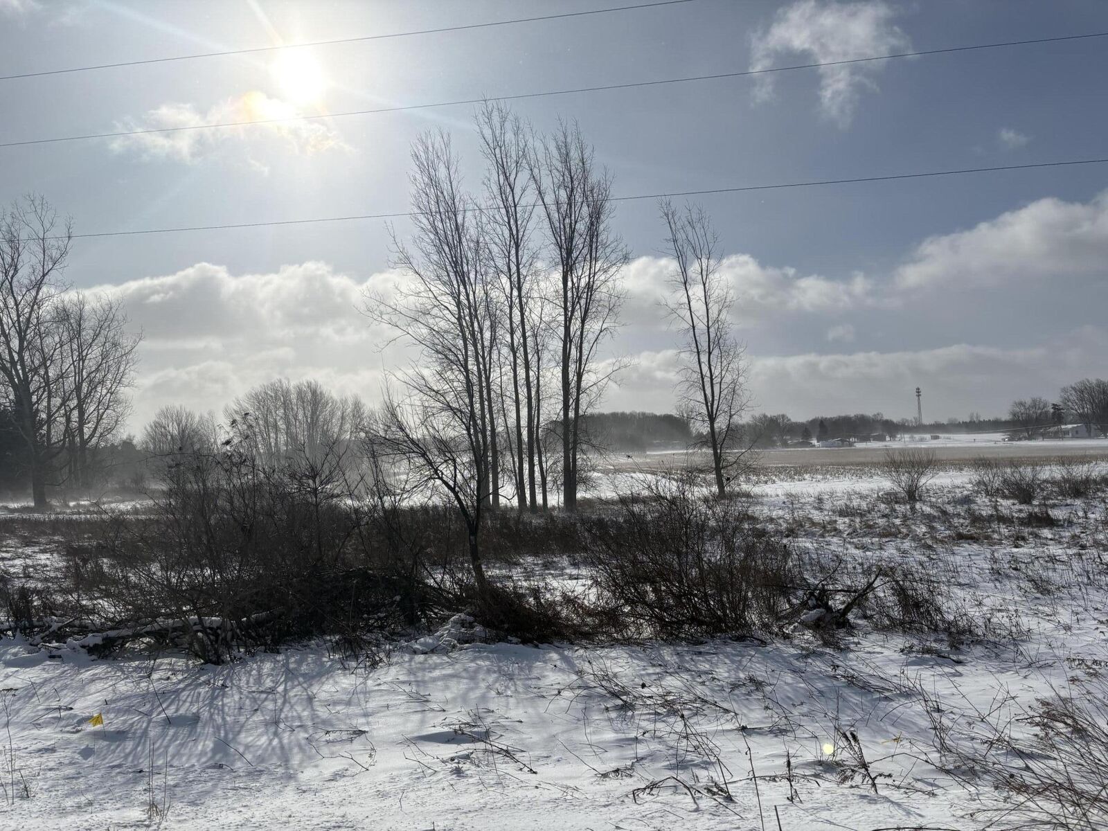 Property Photo: W Pickard Road MI 48858