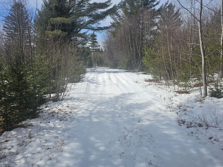 Property Photo:  490 Shin Pond Road  ME 04765 