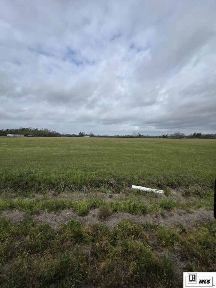 Property Photo:  0 Honor Greer Road  LA 71269 