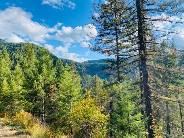 Property Photo: Nhn Pilgrim Creek Road MT 59853