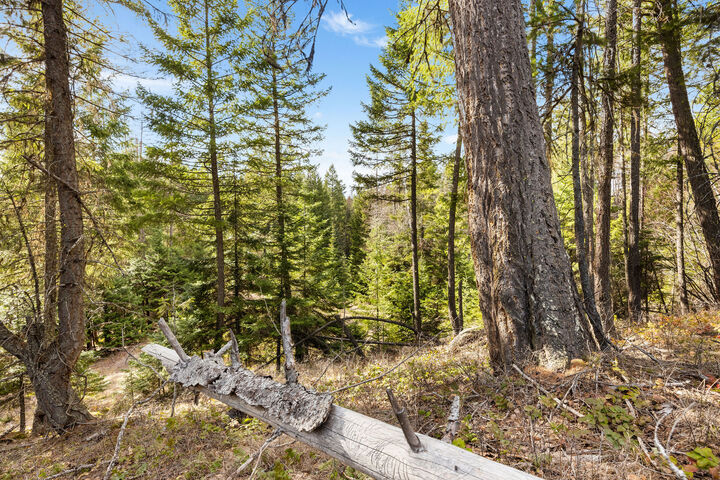 Property Photo:  310 Rolling Ridge Drive  MT 59901 