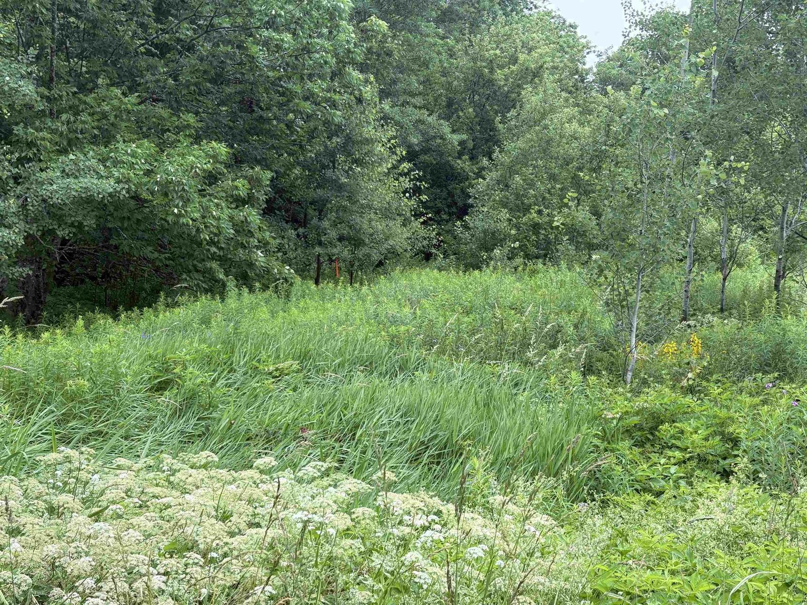 Property Photo:  Lot 235 Landsdowne Station Road  NS B0K 2A0 