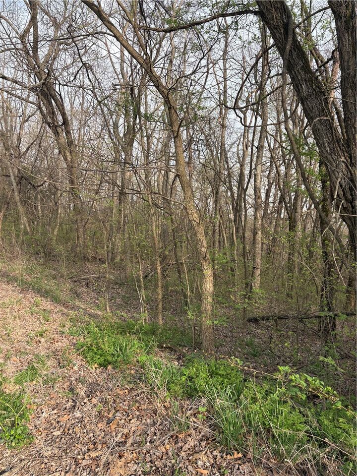 Property Photo:  Lots 169, 170, 171 Huckleberry Circle 7-Rurban  AR 72732 