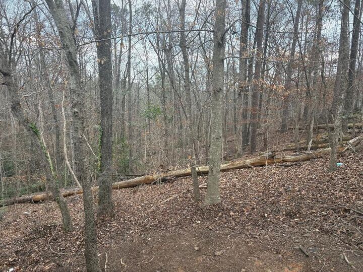 Property Photo:  100 Ridgewood Lane  AL 36027 