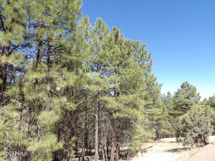 Property Photo:  1601 Moqui Drive 77  AZ 86024 