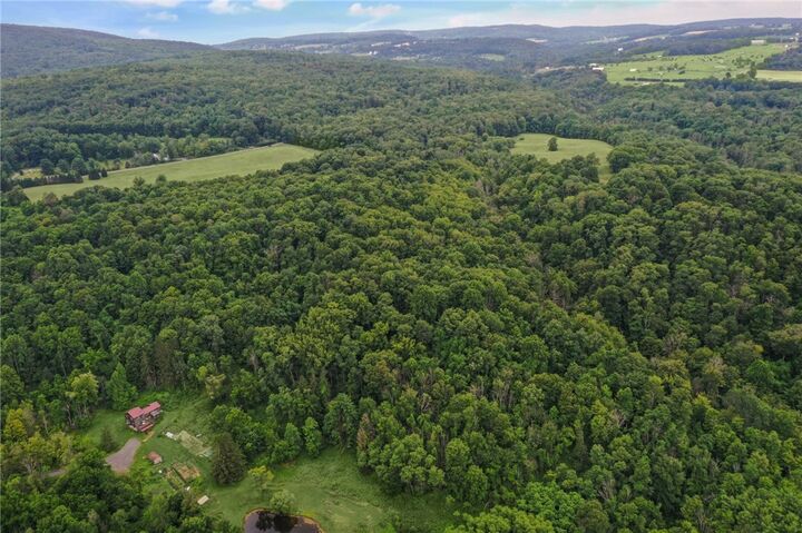 Property Photo:  0 Slators Lane  NY 14867 