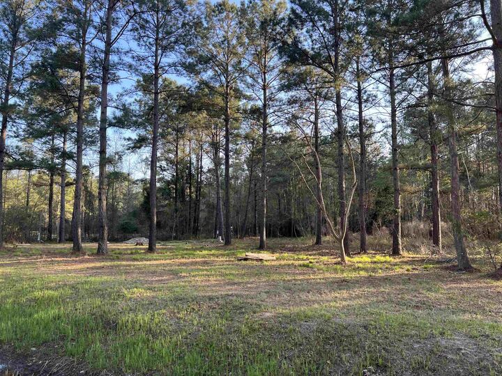 Property Photo: 2108 Lees Landing Circle SC 29526